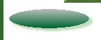 a1website0609grnyel002009.jpg