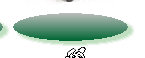 a1website0609grnyel003008.jpg