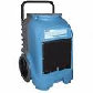 a1website0609grnyel003037.jpg